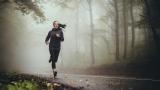 Joggen im Wald Marathon laufen