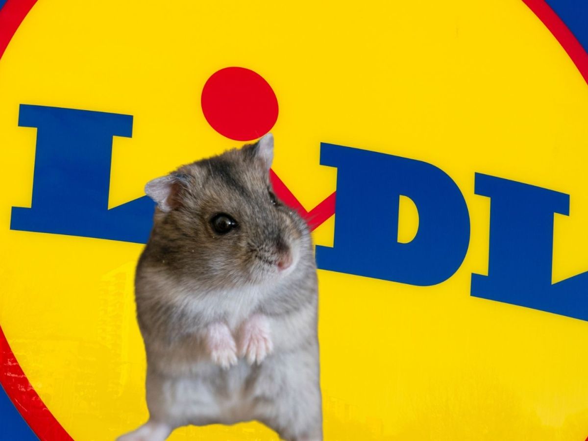 Hamsterkauf bei Lidl