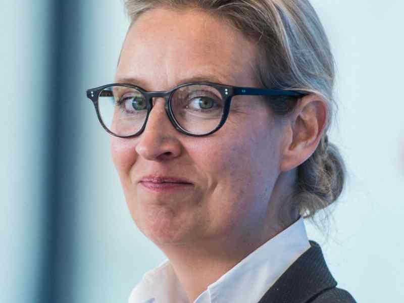 alice weidel querdenken