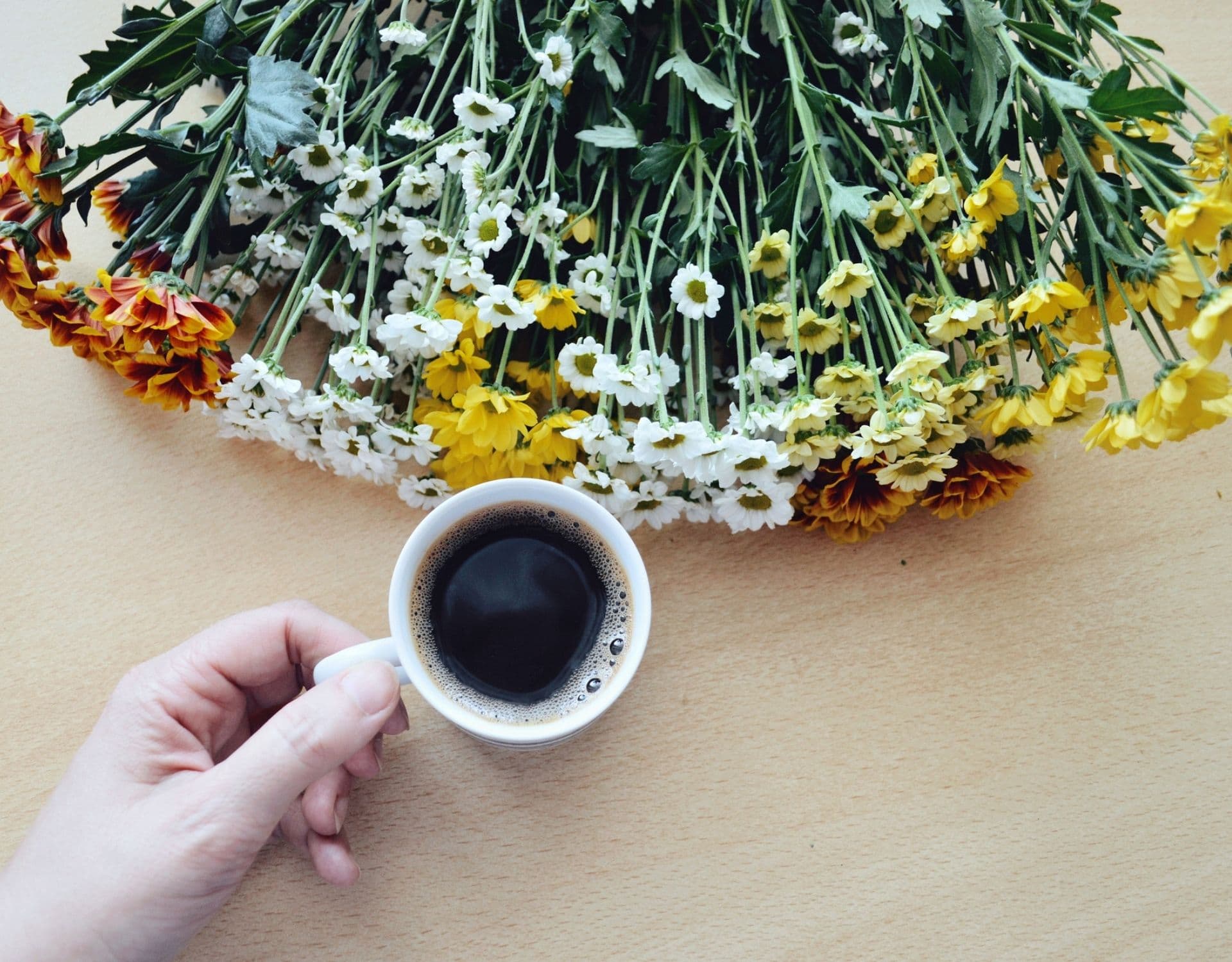 Gegen Mücken &amp; im Garten 5 Ideen, um Kaffeesatz zu