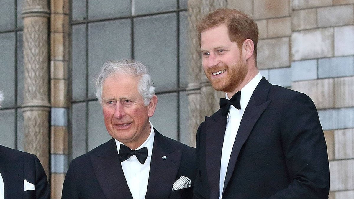 Gedenken an Diana: Kein Treffen zwischen Prinz Harry und Prinz Charles ...