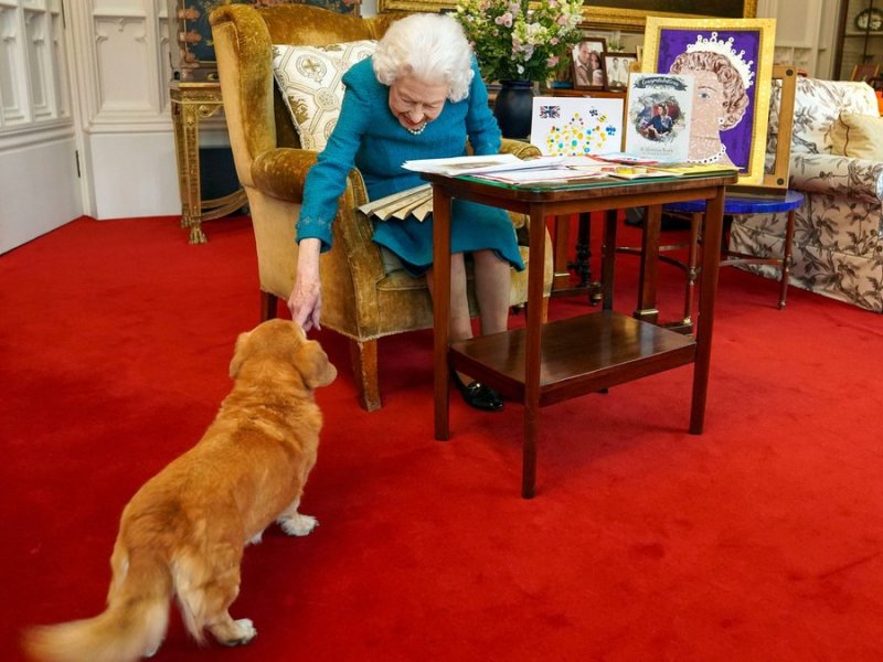 Ob Queen Elizabeth II. ihren Hund Candy auch mit dem neuen Parfüm einsprüht?. © imago/i Images