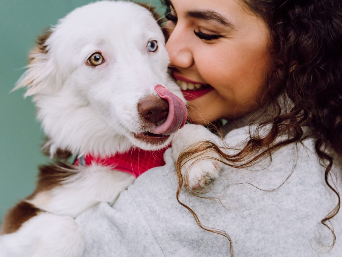 Erstausstattung, Tierarzt & Co.: Wie viel kostet eigentlich ein Hund?