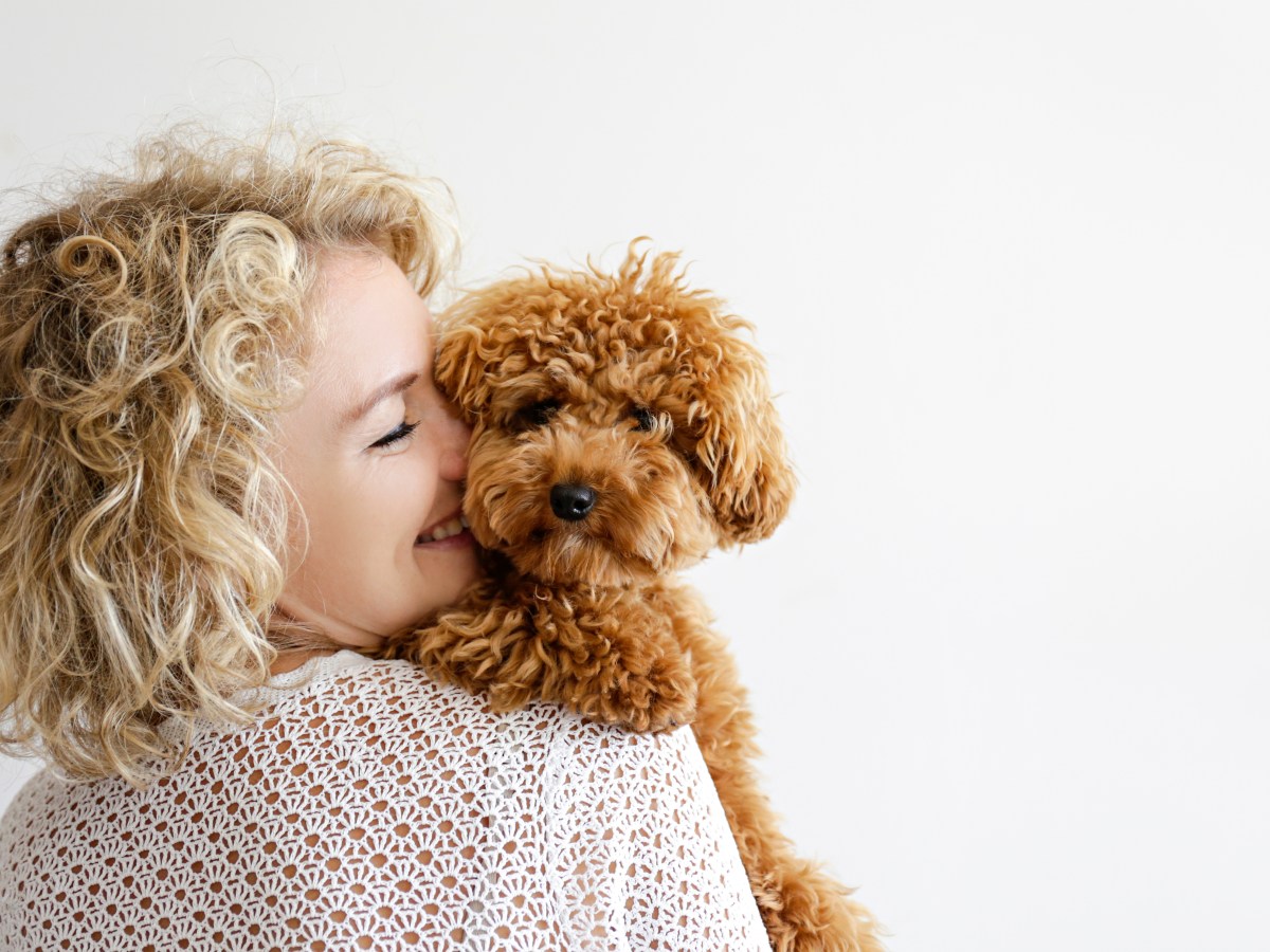 Junge Frau streichelt Hund auf dem Arm.