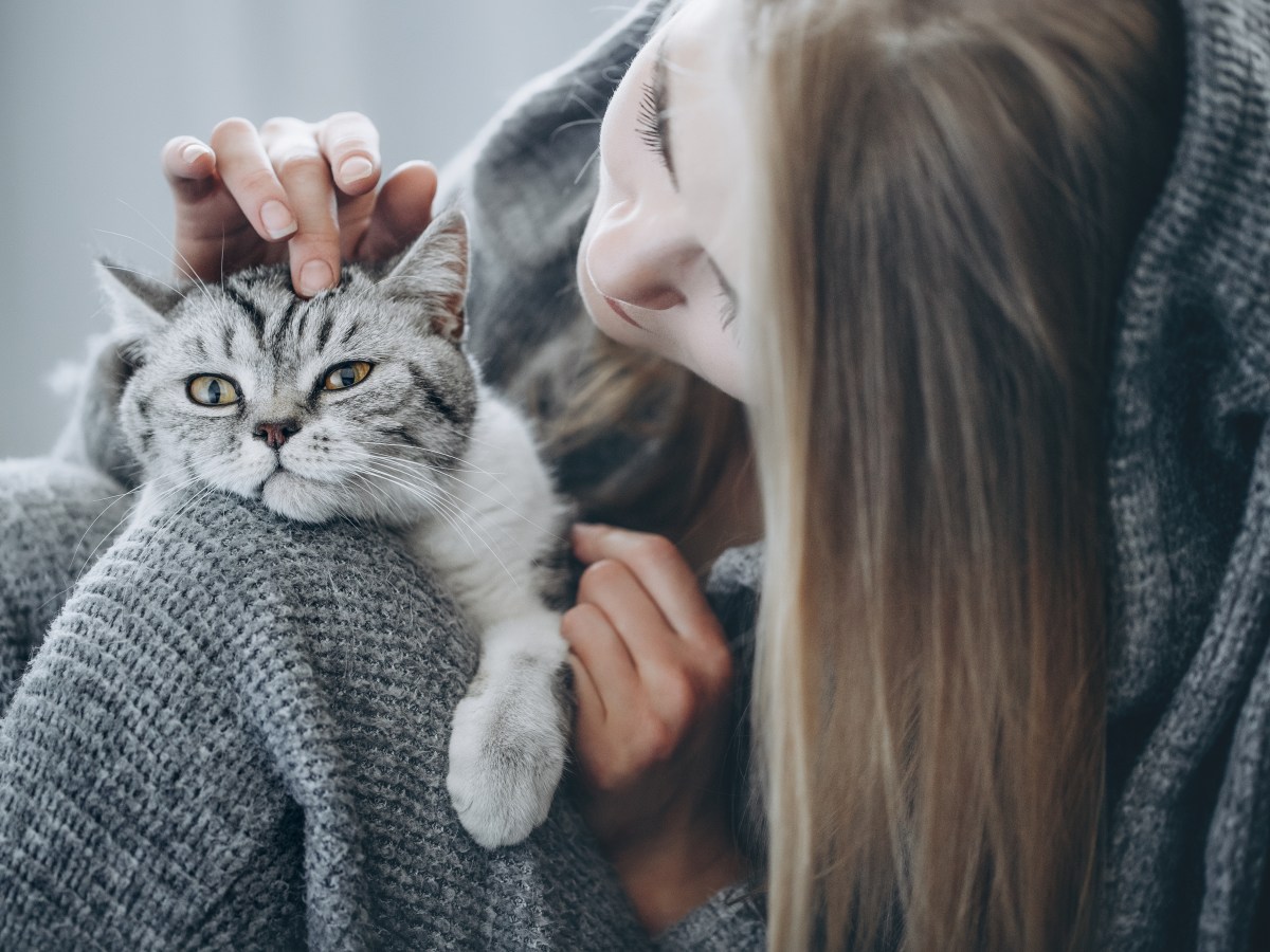 Frau mit Decke, die ihre Katze streichelt.