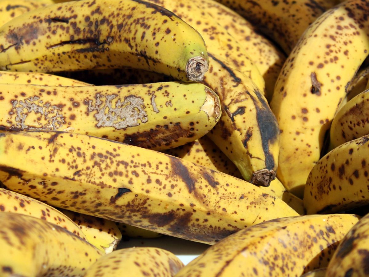 Bananen länger frisch halten: Der Trick ist simpel