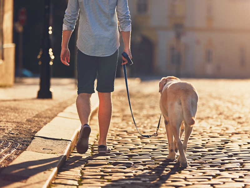 Mann geht mit Hund spazieren