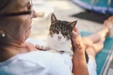 Kater auf dem Arm einer Frau