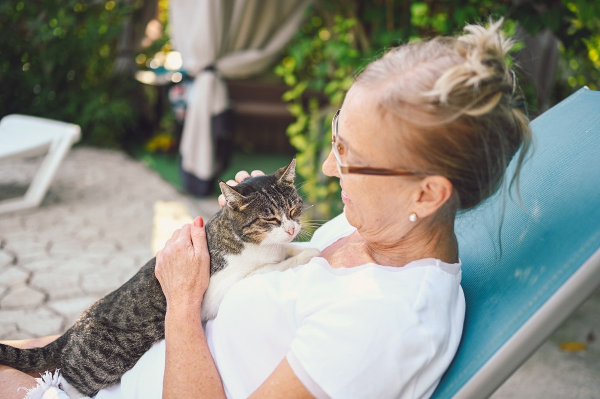 Alte Katze auf dem Arm einer reifen Frau