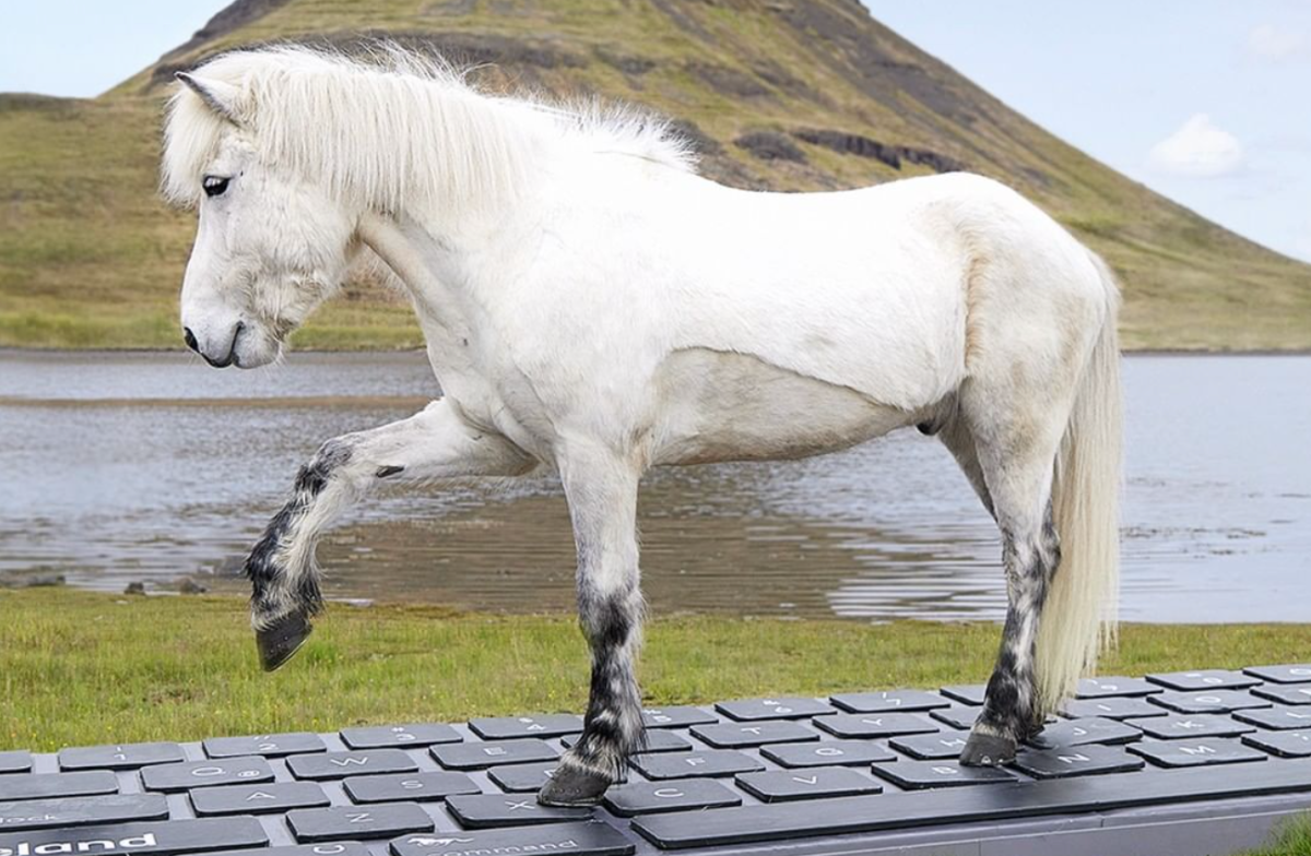 Islandpferde laufen auf XXL-Tastatur herum.