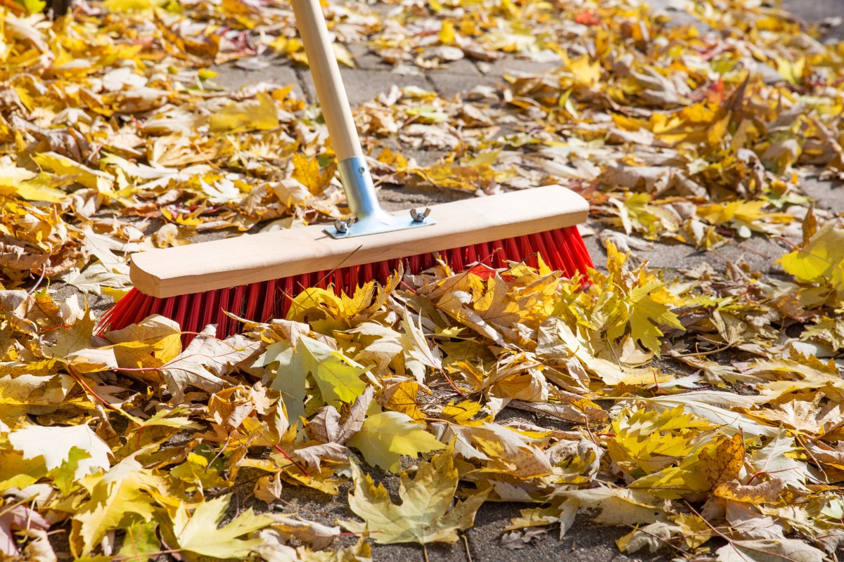 Herbstlaub fegen auf Bürgersteig.