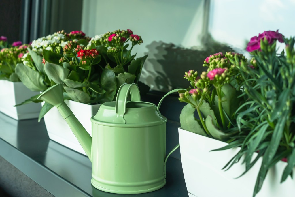 Gießkanne auf dem Balkon