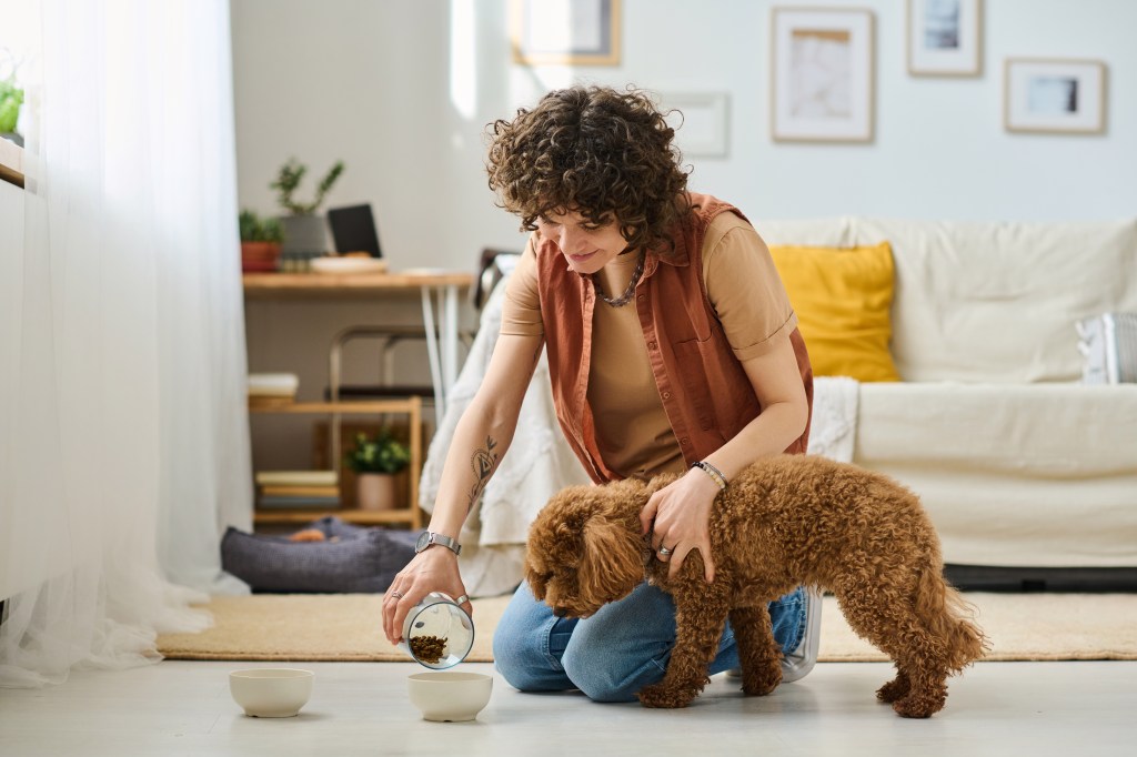 Frau füttert Hund