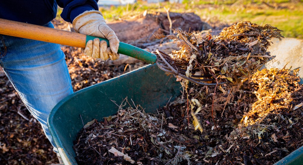 Mulch aus Gartenlaub