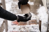 In eine Hand wird Streusalz geschüttet.