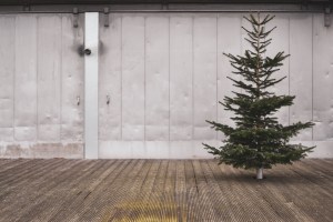 Weihnachtsbaum: Tanne vor Metallwand