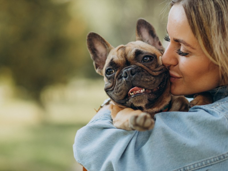 Frenchie auf dem Arm einer Frau