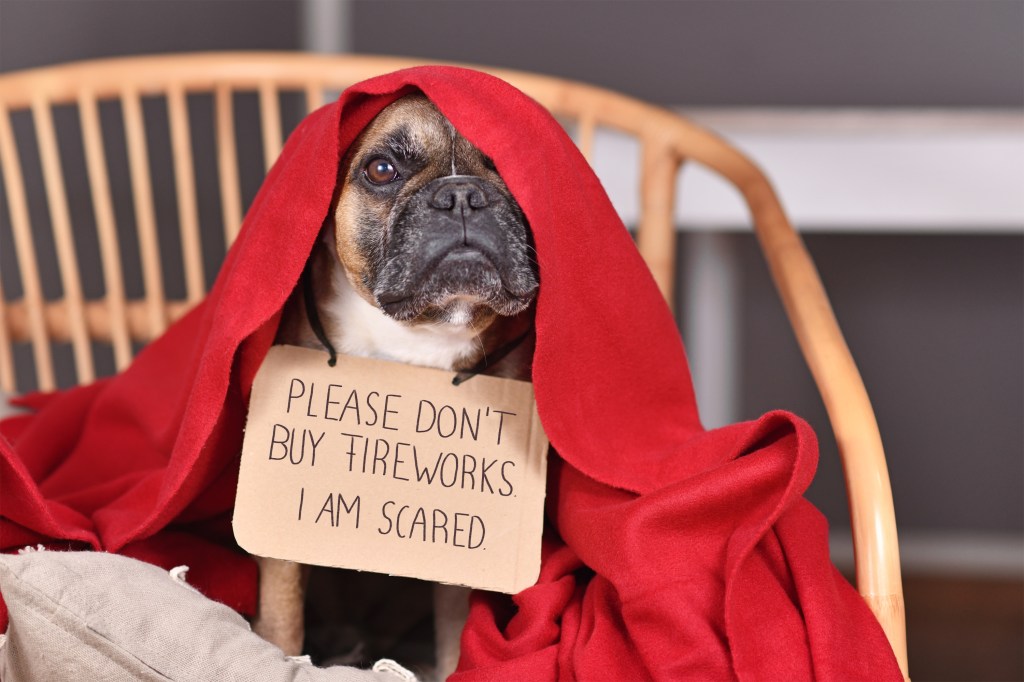 Hund mit Schild um den Hals