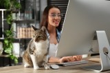 Katze im BÃ¼ro mit Frau am Laptop