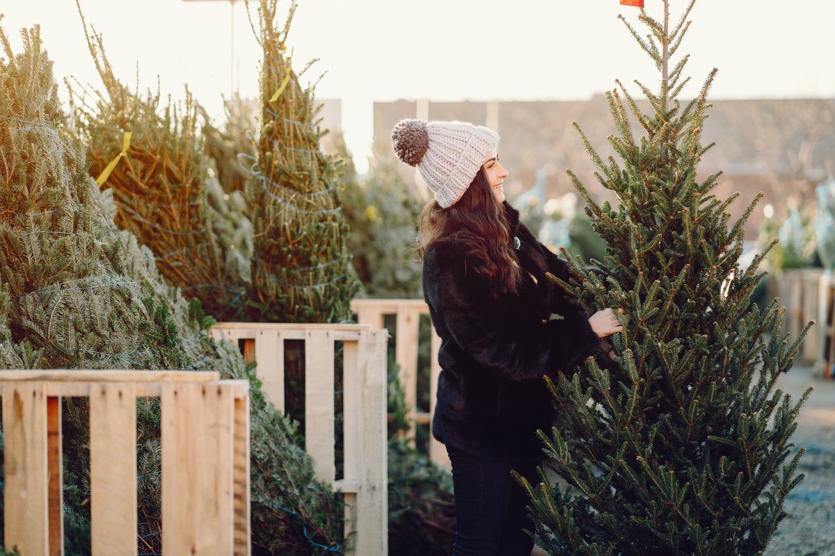Frau mit Weihnachtsbaum