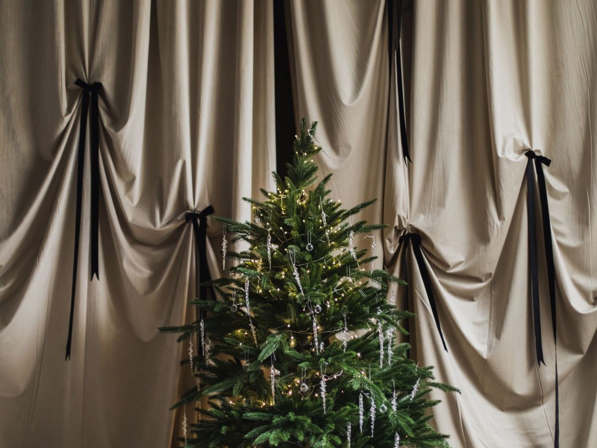 Weihnachtsbaum: So bleibt er nach dem Aufstellen lÃ¤nger frisch