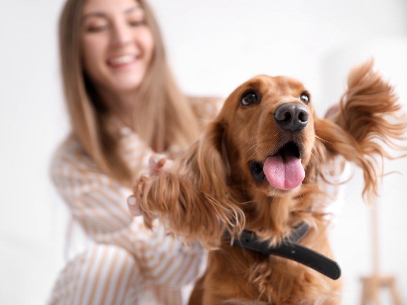 Frau mit Cocker Spaniel