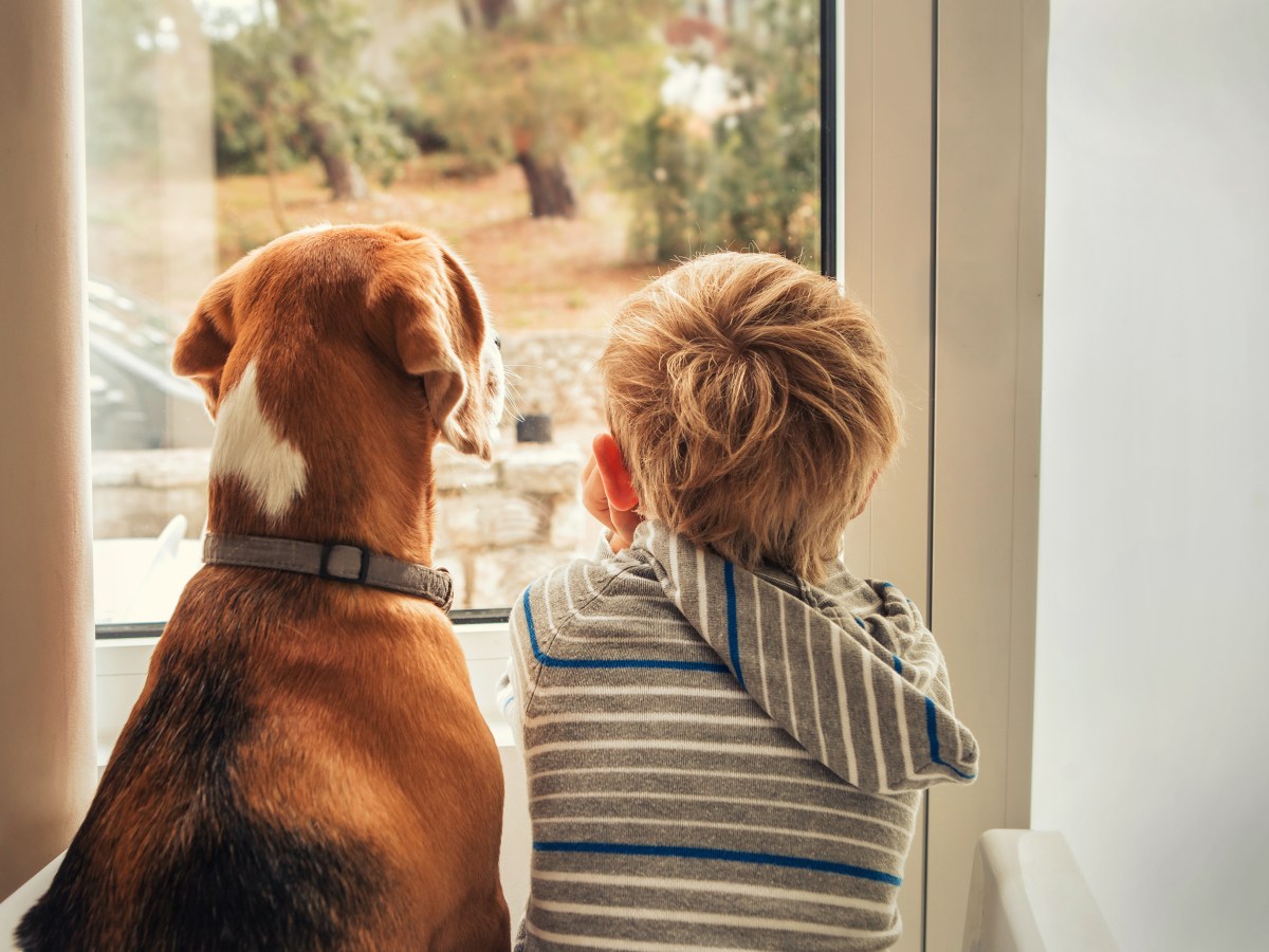 Kinderfreundliche Hunderassen: Diese Vierbeiner lieben Kinder über alles
