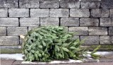 Ein alter Weihnachtsbaum liegt auf der StraÃŸe.