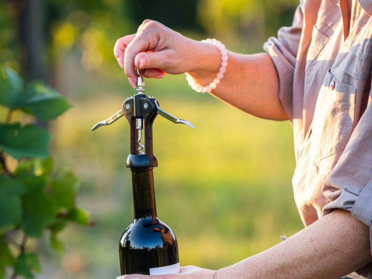 So kannst du mit Weinkorken im Garten gegen Schnecken vorgehen