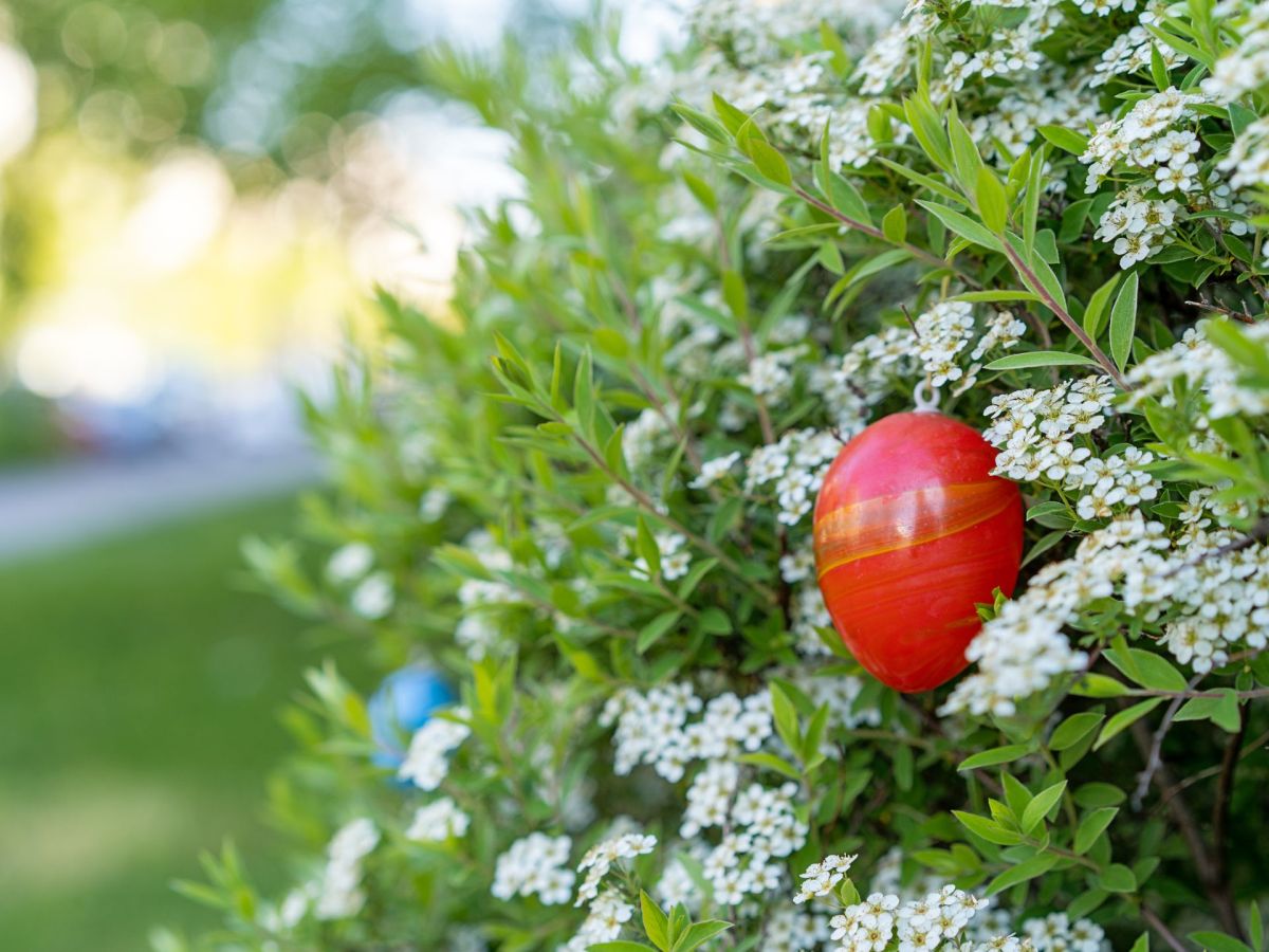 Ostern im Garten: 3 schöne Deko-Tipps für draußen