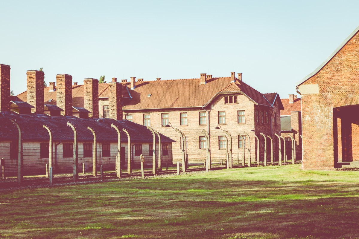 Lale fand im Konzentrationslager in Auschwitz seine große Liebe.