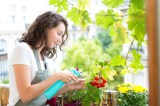 Frau auf dem Balkon mit Tomaten