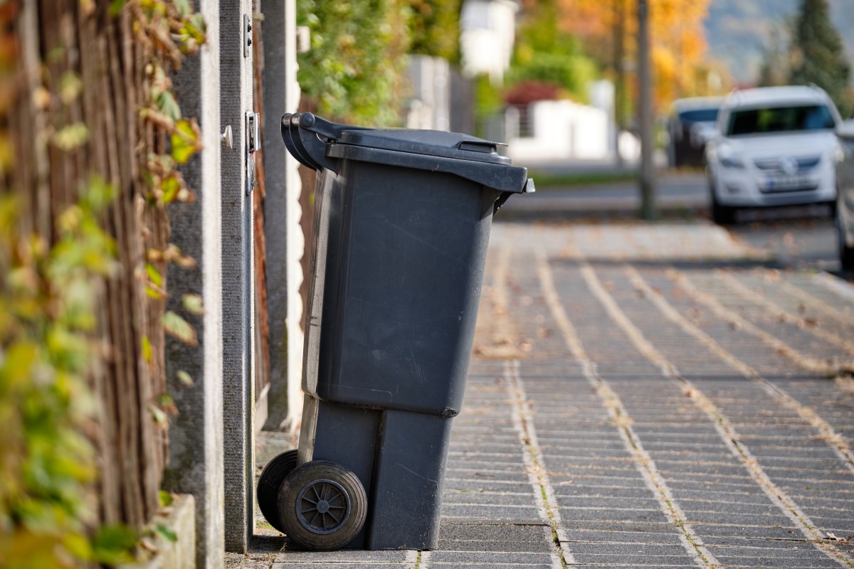 Eine schwarze MÃ¼lltonne steht am StraÃŸenrand.