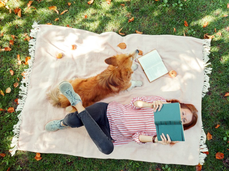 Picknick mit Hund