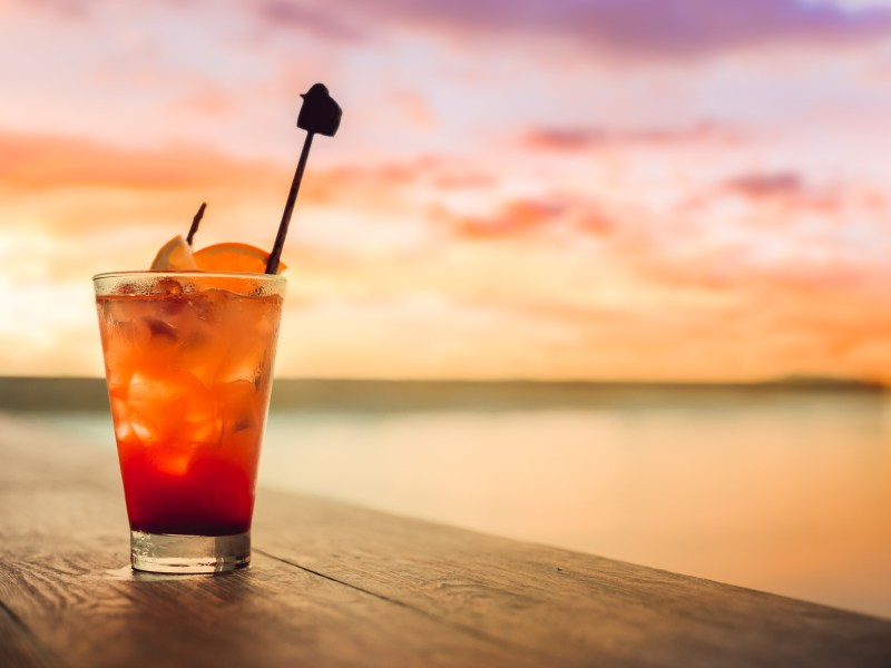 Bird of Paradise: Aperol Cocktail