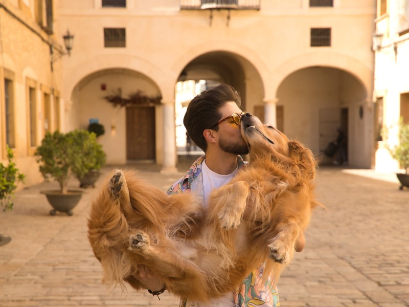 Viele Frauen wollen einen Golden-Retriever-Boyfriend. Was dahinter steckt.