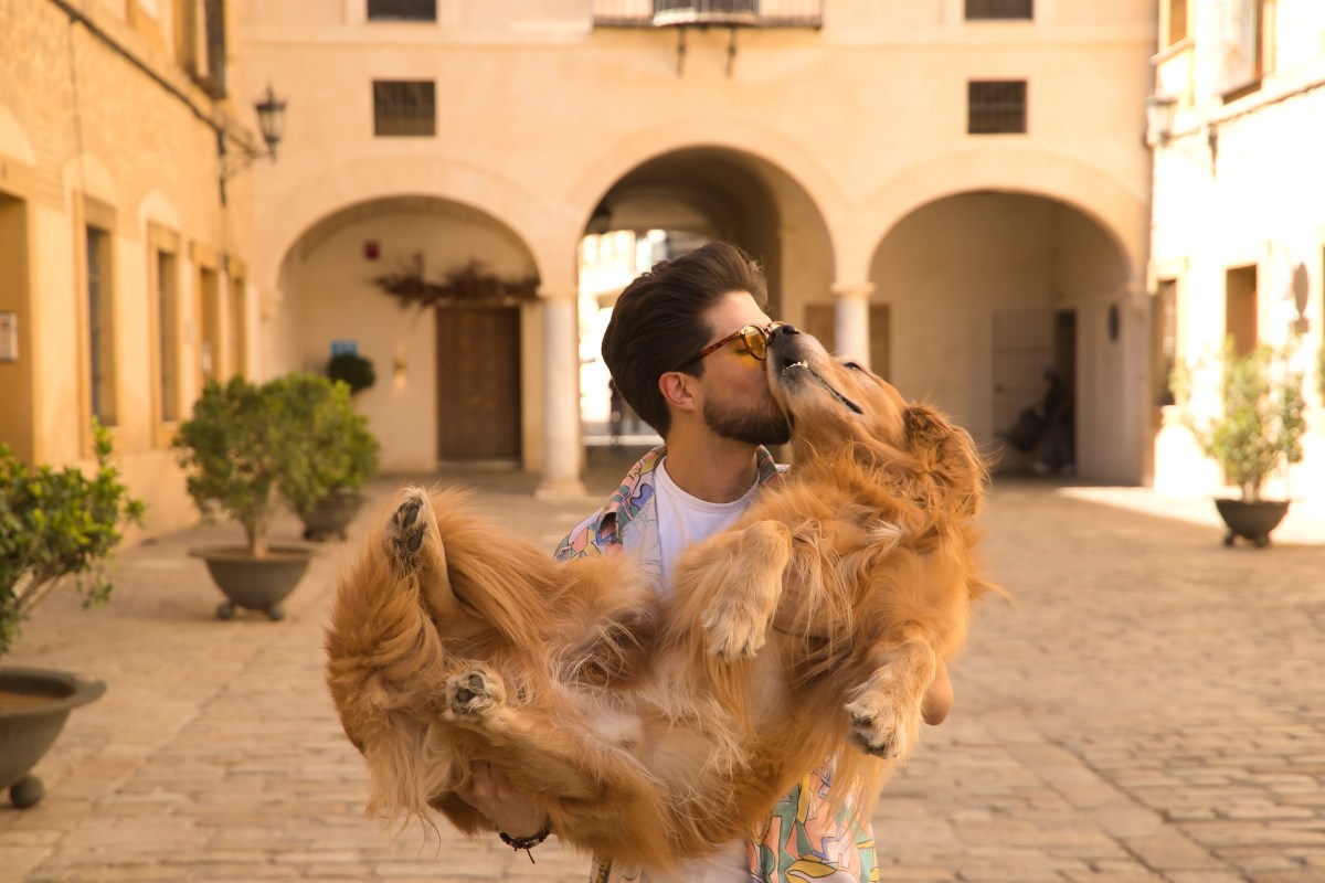 Viele Frauen wollen einen Golden-Retriever-Boyfriend. Was dahinter steckt.