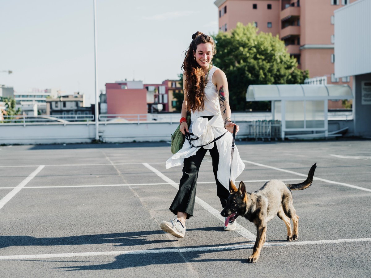 LeinenfÃ¼hrigkeit beim Hund