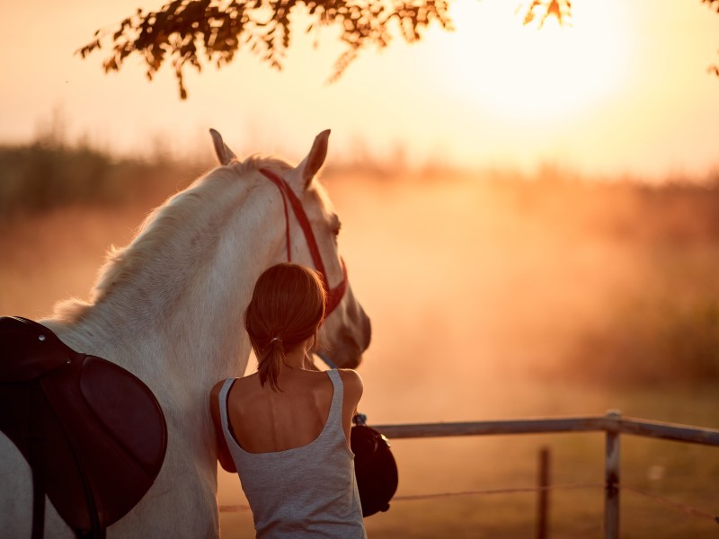 Traumdeutung Frau mit Pferd im Sonnenuntergang