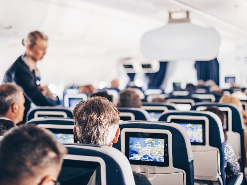 Welche Verhaltensweisen stört Flugbegleiter:innen an Passagieren im Flugzeug?