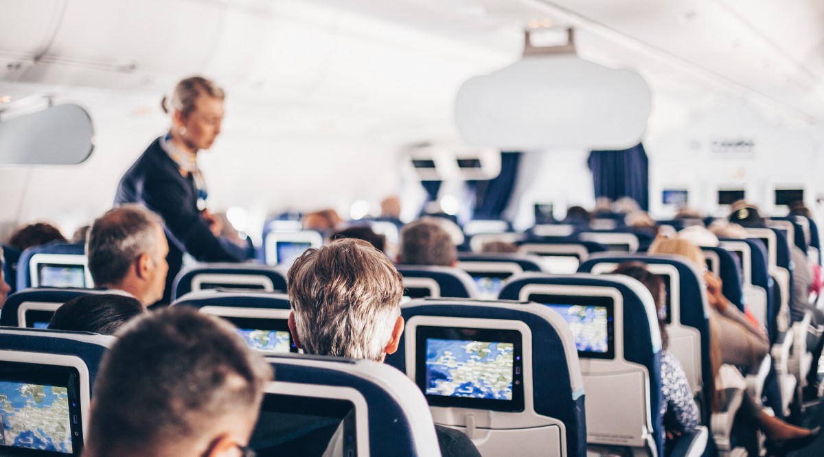 Welche Verhaltensweisen stört Flugbegleiter:innen an Passagieren im Flugzeug?