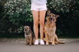 Frau mit zwei Hunden