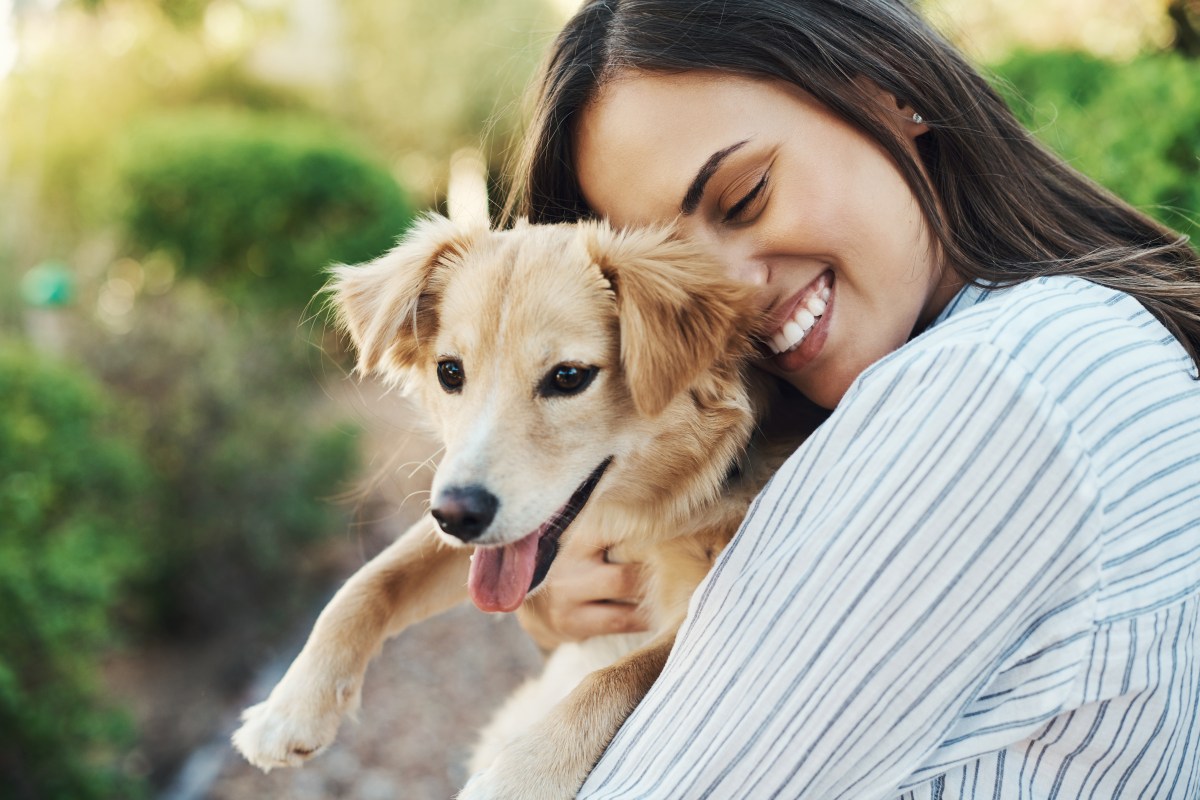 Hundewelpe Tierschutz