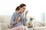 Frau mit Katze auf dem Sofa Allergiespray
