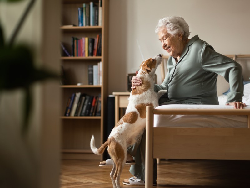 Seniorenwohnung mit Hundehaltung