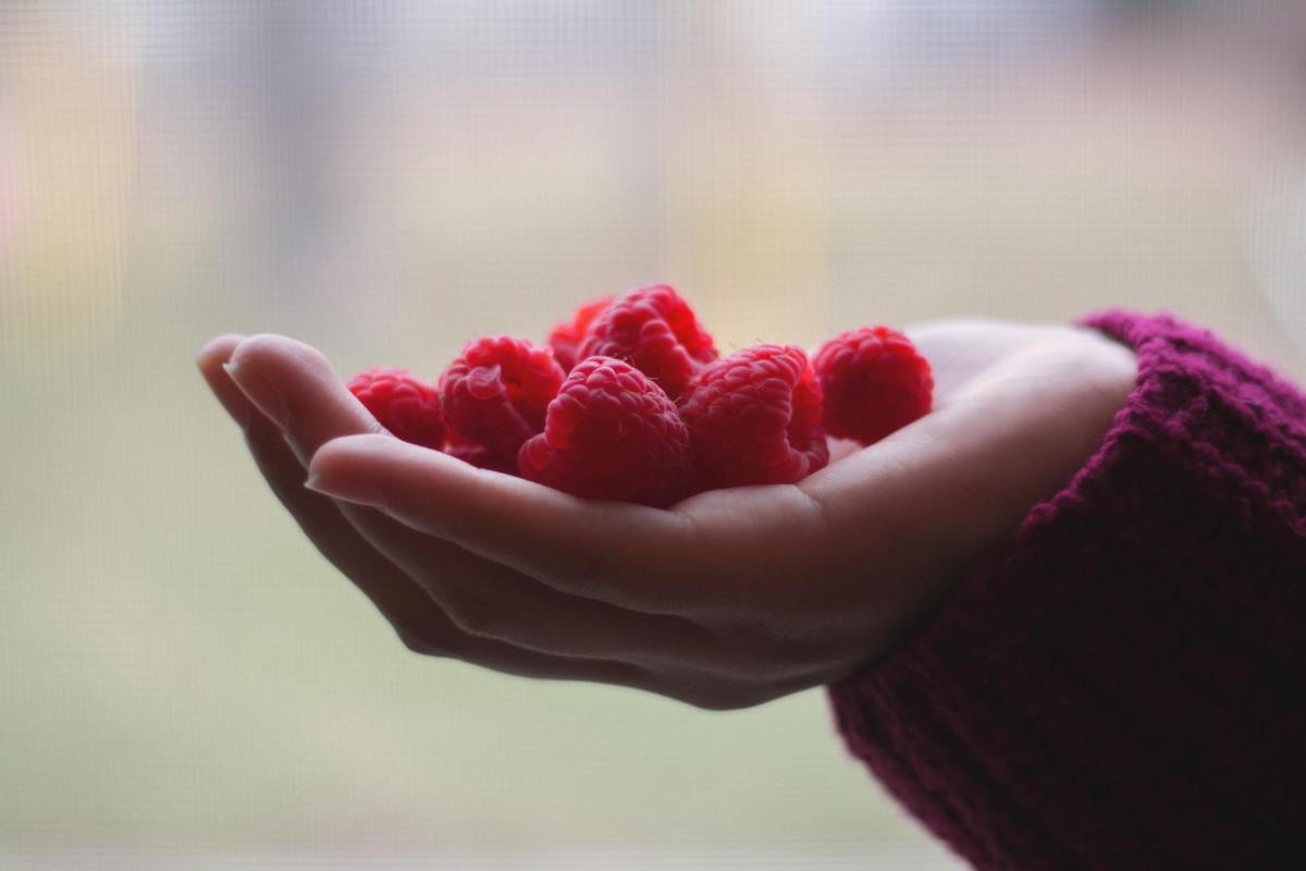 Himbeeren in der Hand