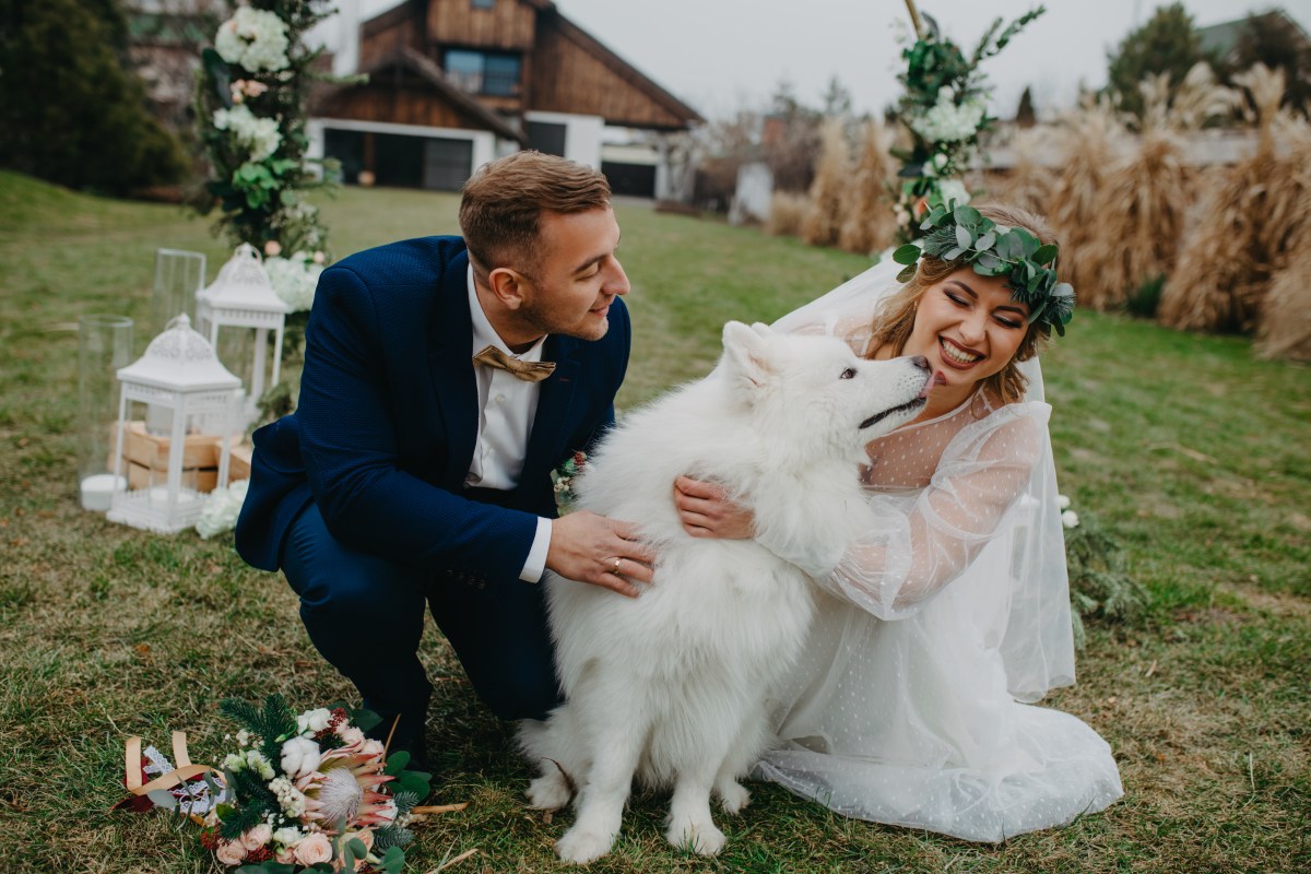 Hund auf Hochzeit