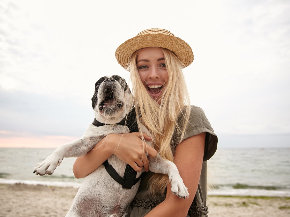 Hund an der Ostsee