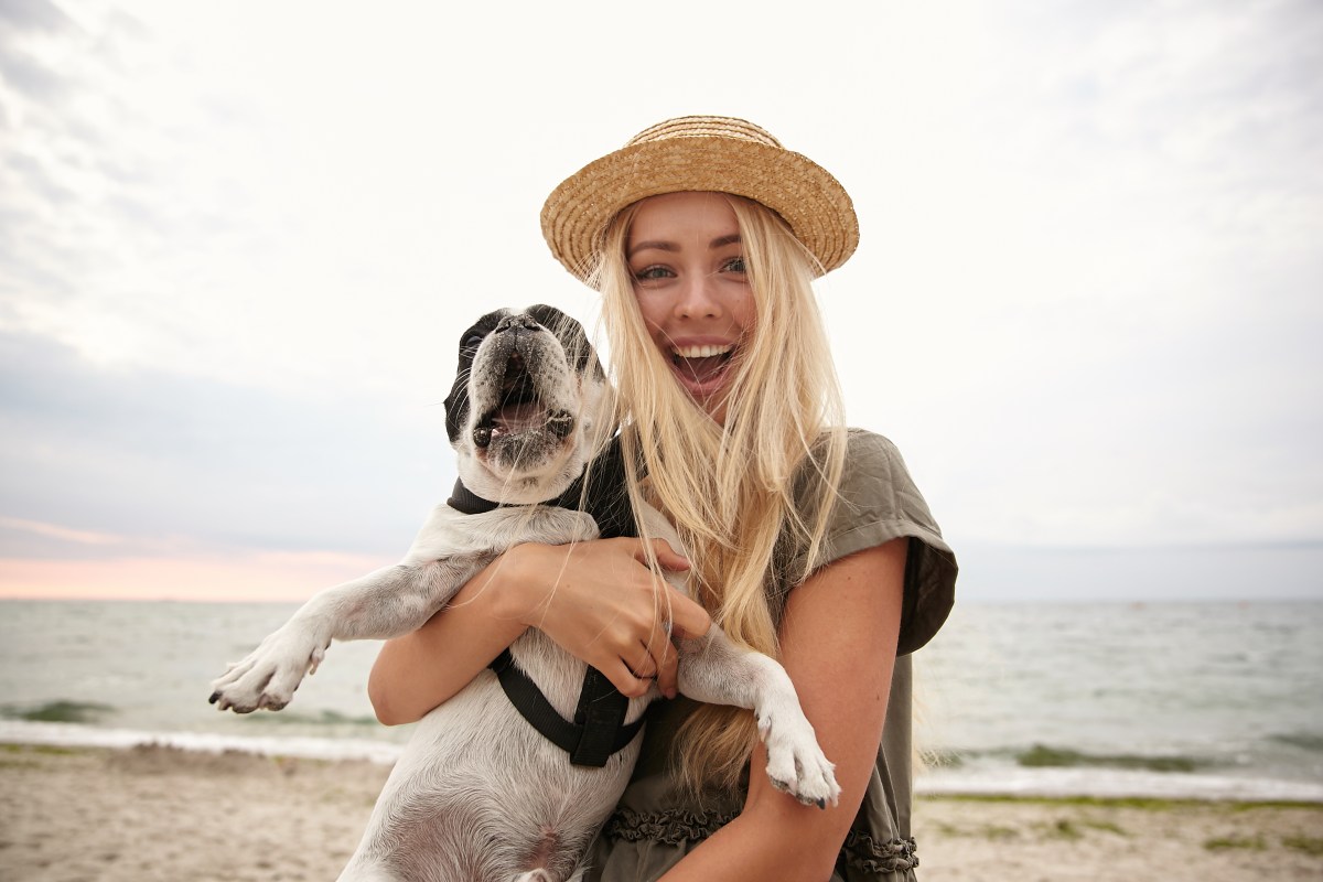 Hund an der Ostsee