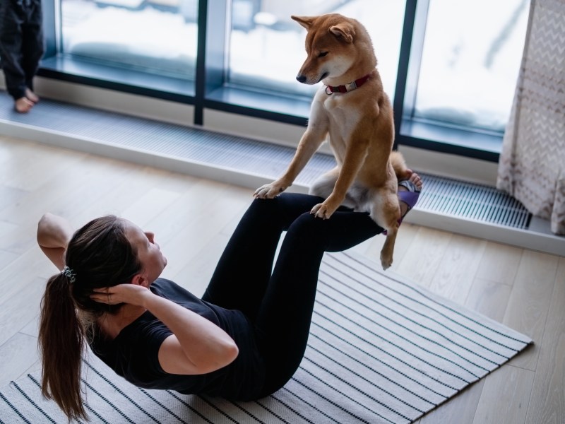 Hund macht Sport mit Frau